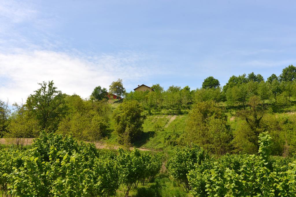Casa Vacanze Il Brichet Мондові Номер фото